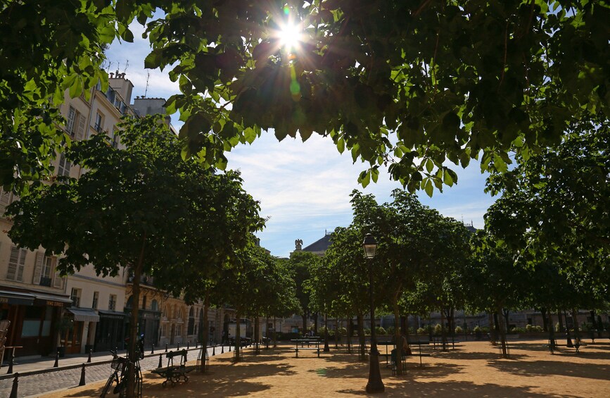 Notre Dame Island Guided Tour with Sainte Chapelle Priority Entrance Ticket