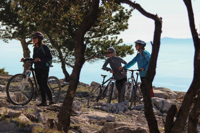 Biking Vidova Gora - Dol