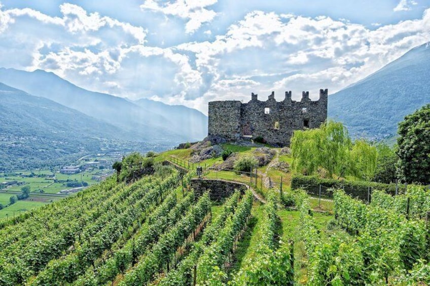 Grumello Castle and vineyards