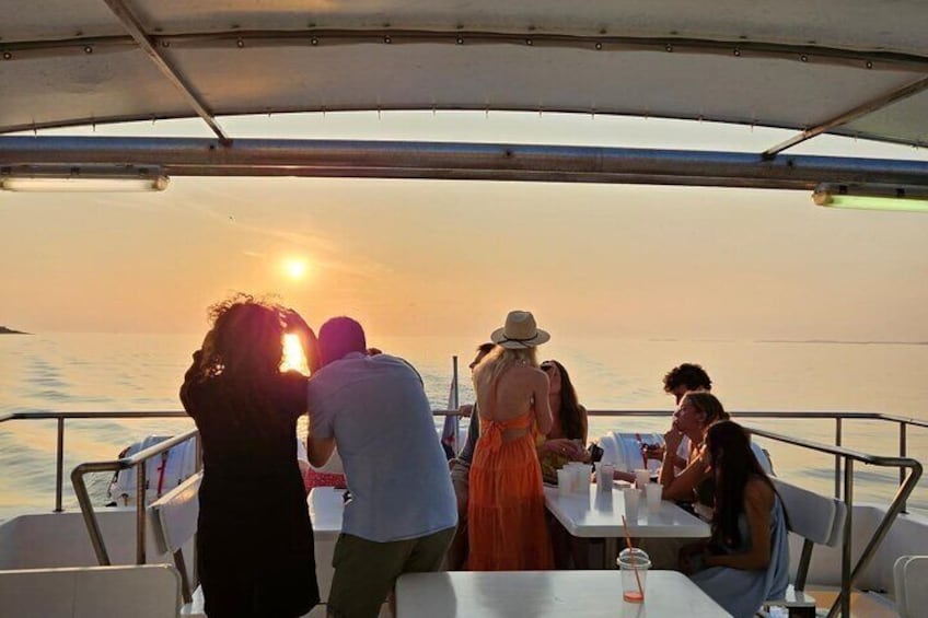 Dolphin & Sunset Cruise with Dinner & Drinks from Pula