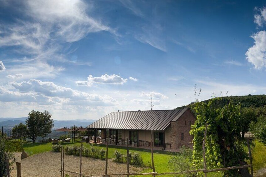 Cellar tasting room view