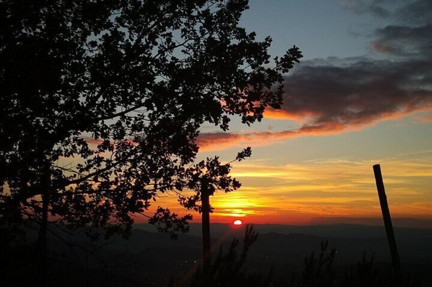 The sunset view from the tasting room