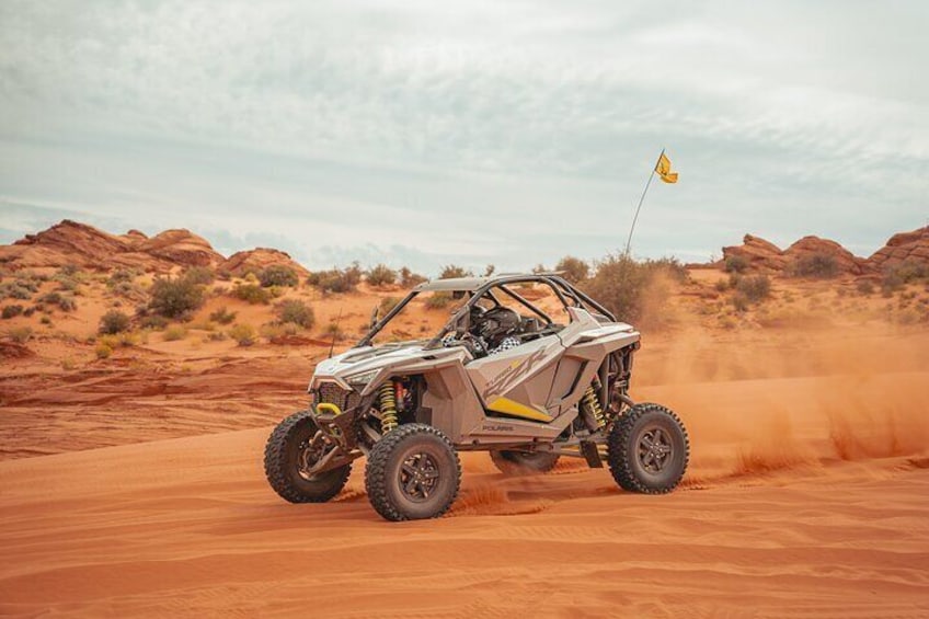 Greater Zion: Women's Only Guided UTV Tour