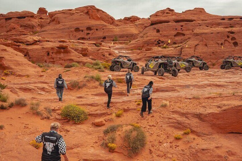 Greater Zion: Women's Only Guided UTV Tour