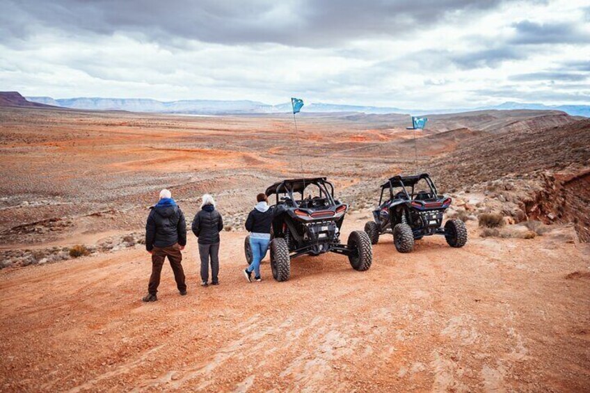 Greater Zion: Dinosaur Tracks in the Desert UTV Tour