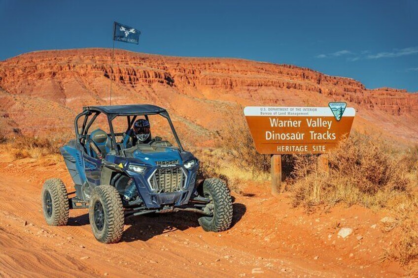 Greater Zion: Dinosaur Tracks in the Desert UTV Tour