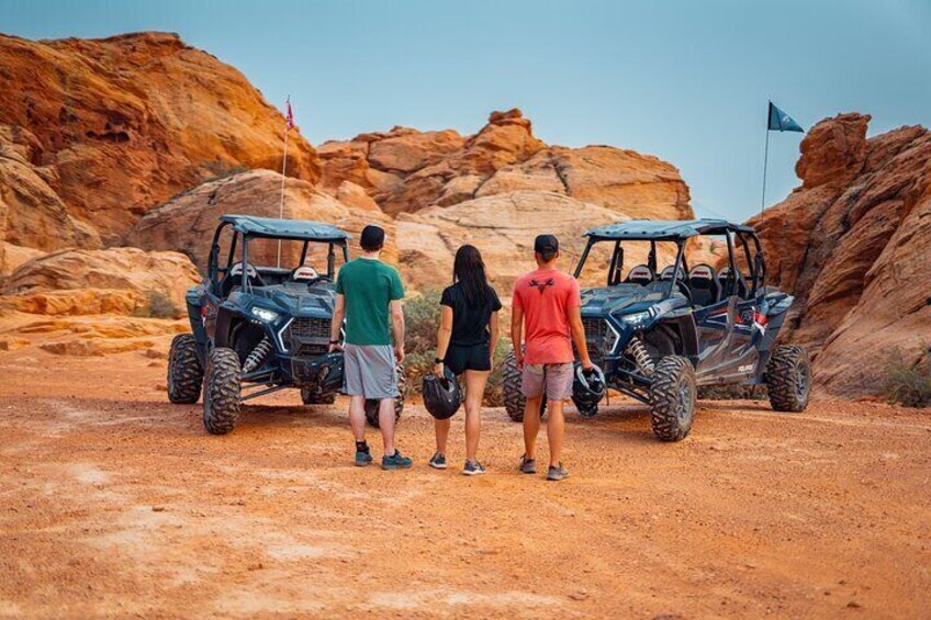 Greater Zion: Dinosaur Tracks in the Desert UTV Tour