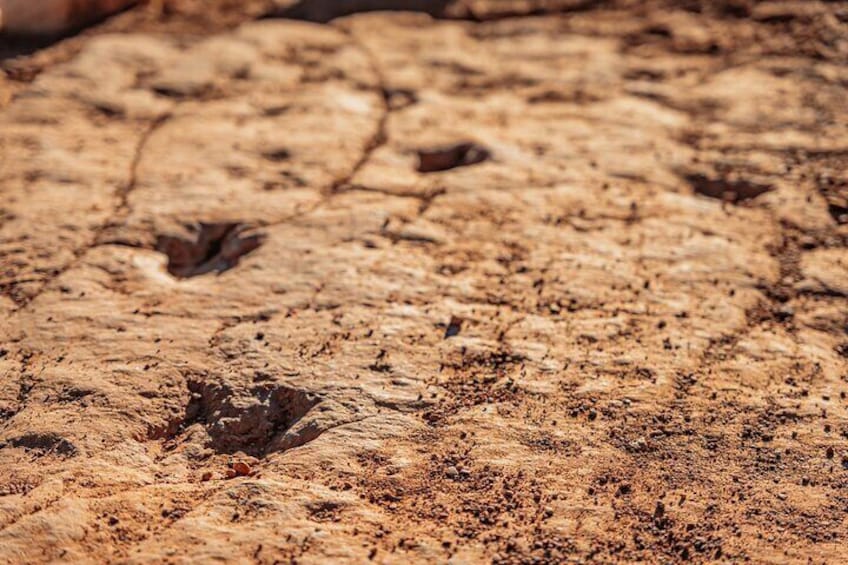 Greater Zion: Dinosaur Tracks in the Desert UTV Tour