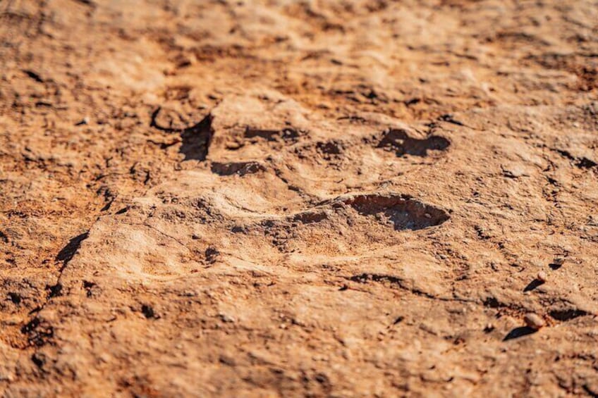 Greater Zion: Dinosaur Tracks in the Desert UTV Tour