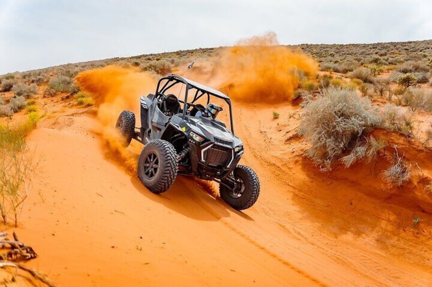 Sand Hollow Dunes