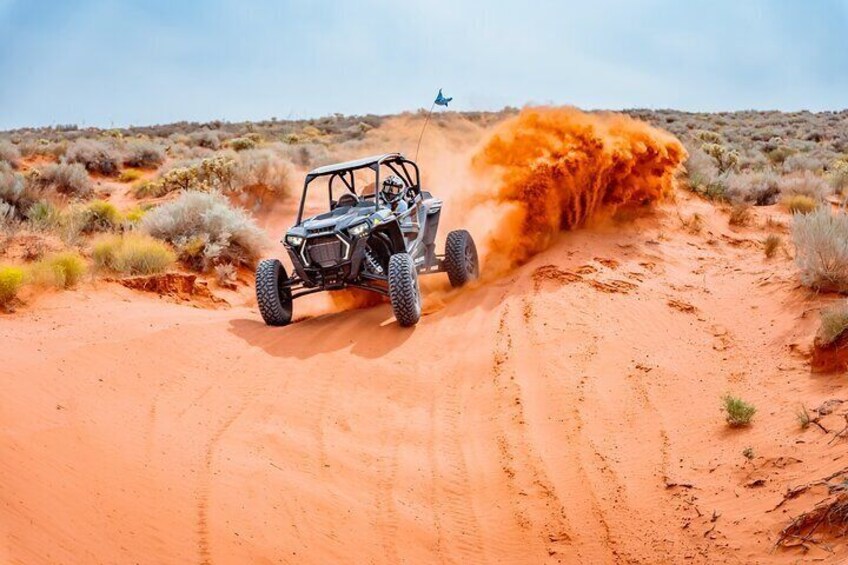 Greater Zion: Epic Box Canyon UTV Tour