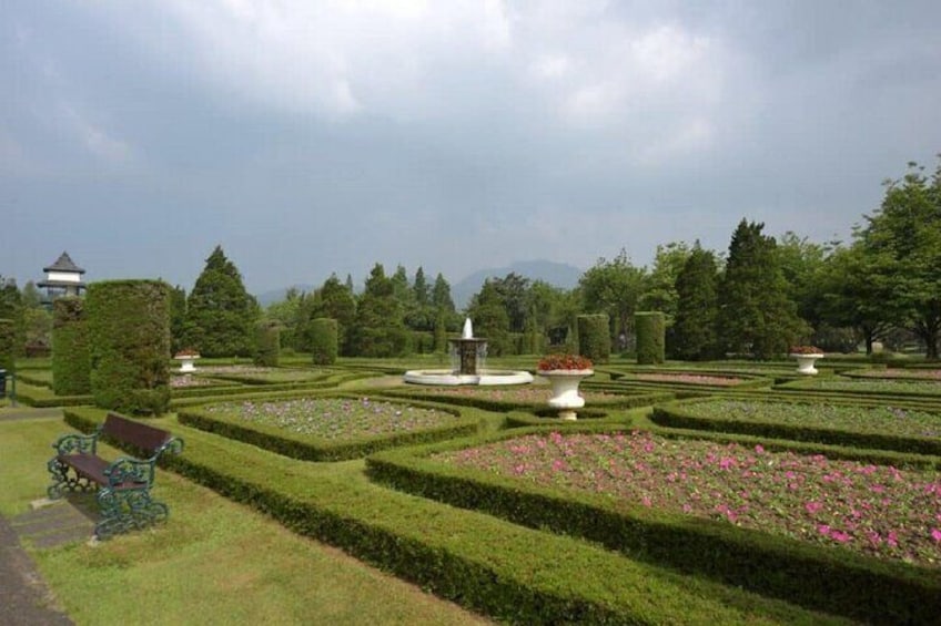 Private Safari & Tour to High land Puncak, Tea walk & Flower garden from Jakarta