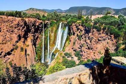 Marrakesh to Ouzoud Falls: Private Day Trip