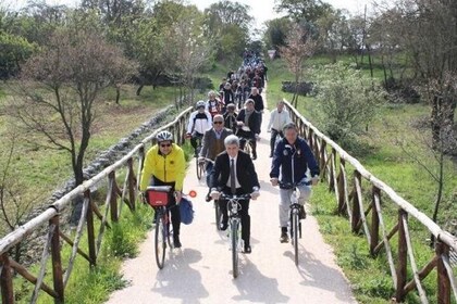 Bike Tour in Itria Valley