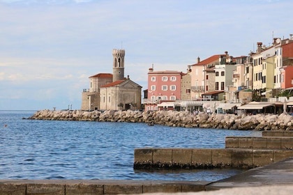 Piran & Panoramic Slovenian Coast - Small Group Tour from Trieste