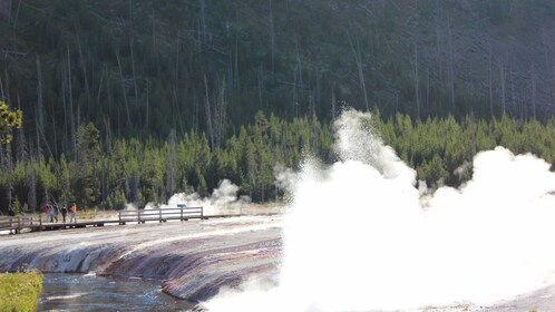 yellowstone loop lower guided jackson hole self tour expedia