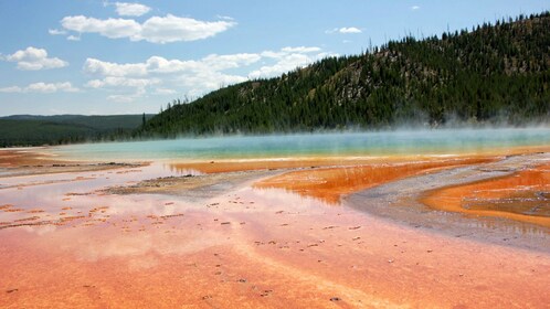 yellowstone loop lower guided jackson hole self tour expedia