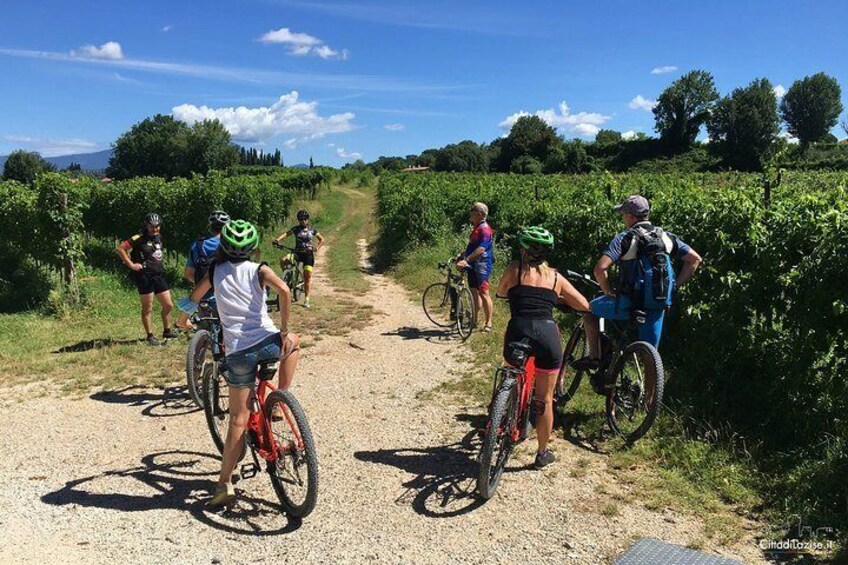 Bike tour Between the Vineyards and Wine Tasting in Lazise