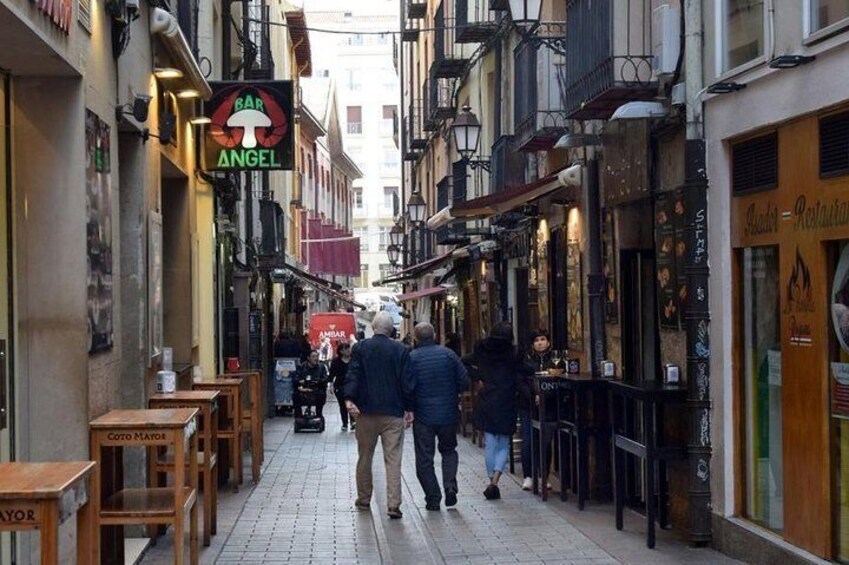 Logroño historic&cultural guided walking tour