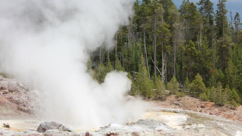 yellowstone guided loop upper jackson hole self tour expedia