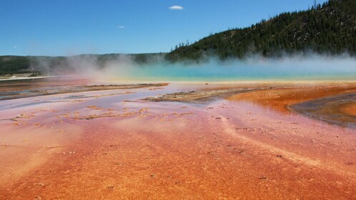 yellowstone guided loop upper jackson hole self tour expedia