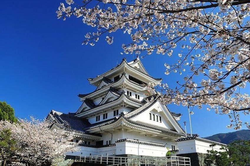 Show item 2 of 6. Tokushima Half-Day Private Trip with Nationally-Licensed Guide