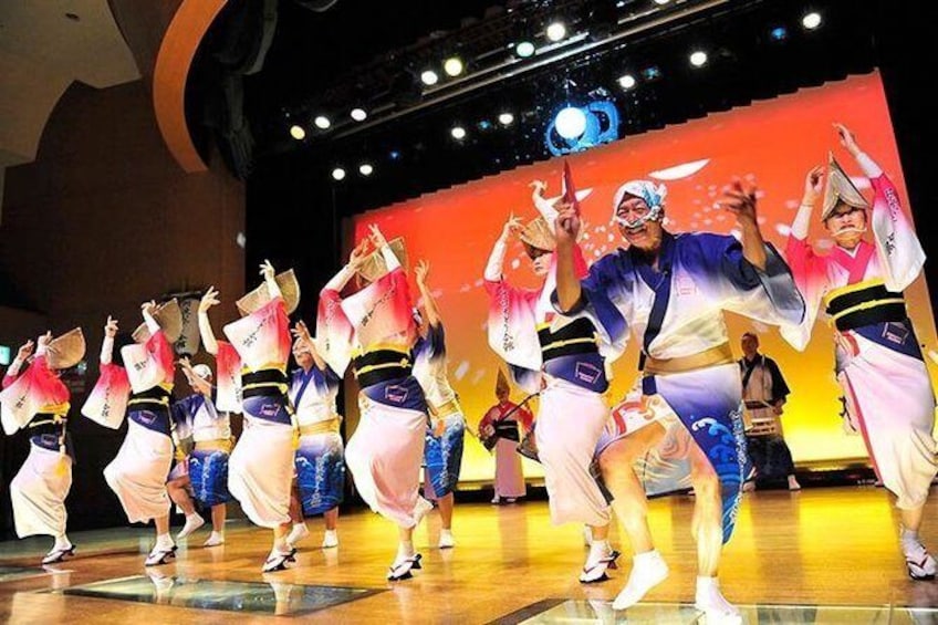 Show item 1 of 6. Tokushima Half-Day Private Trip with Nationally-Licensed Guide