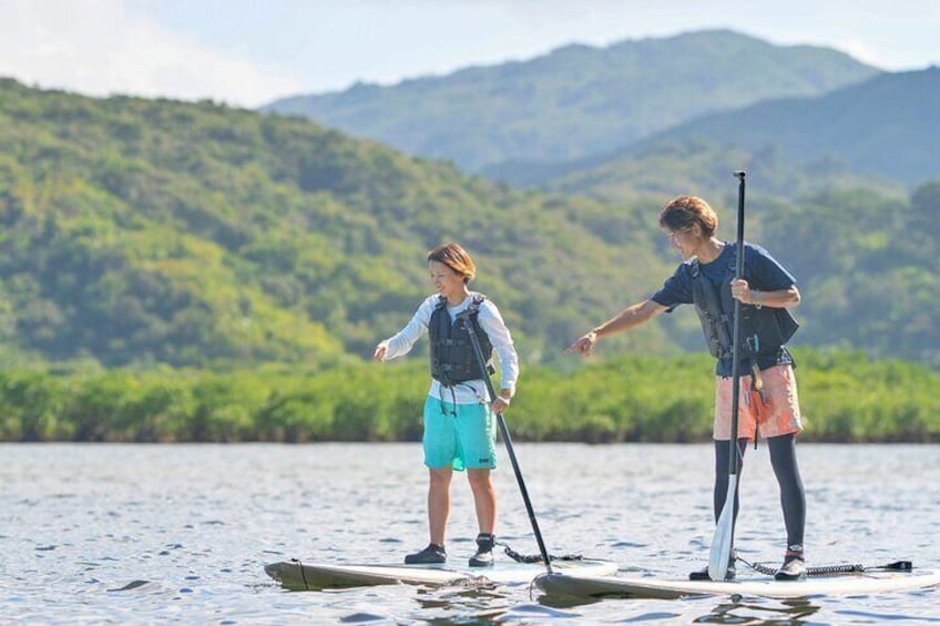 [Iriomote]SUP/Canoe tour + Sightseeing in Yubujima island