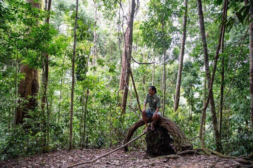 Wonderful 7 Days North Sumatra Tour (Include: 2 Days 1 Night Jungle Trekking)