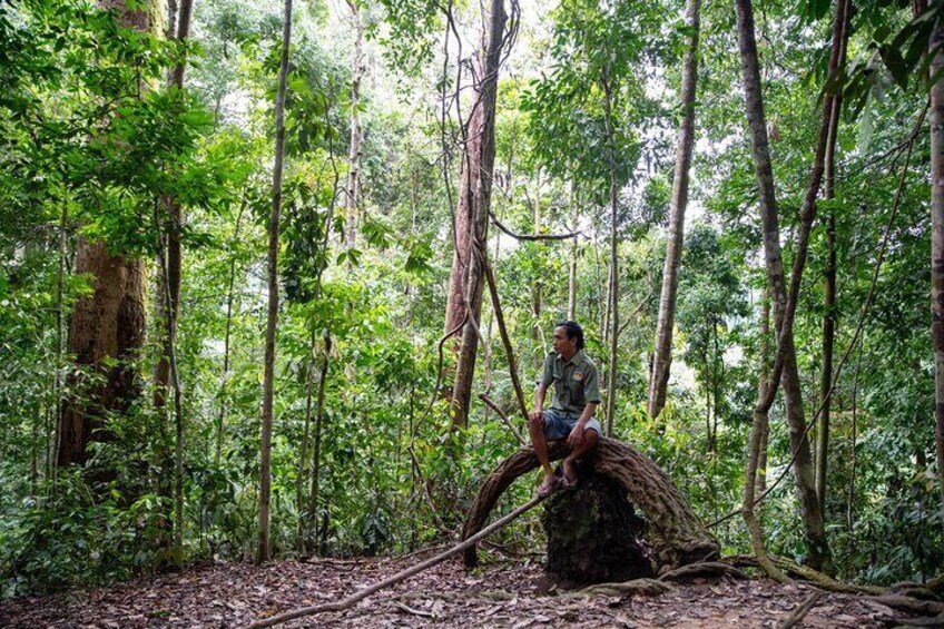 Wonderful 7 Days North Sumatra Tour (Include: 2 Days 1 Night Jungle Trekking)