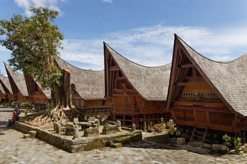 Wonderful 7 Days North Sumatra Tour (Include: 2 Days 1 Night Jungle Trekking)