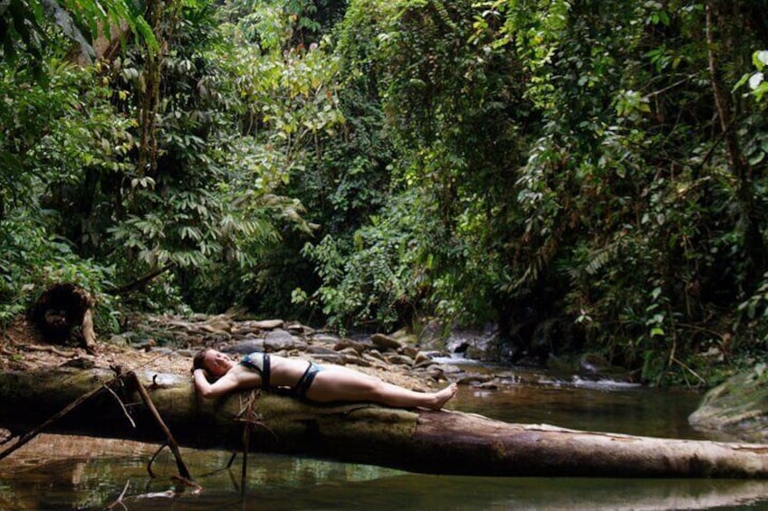 Wonderful 7 Days North Sumatra Tour (Include: 2 Days 1 Night Jungle Trekking)