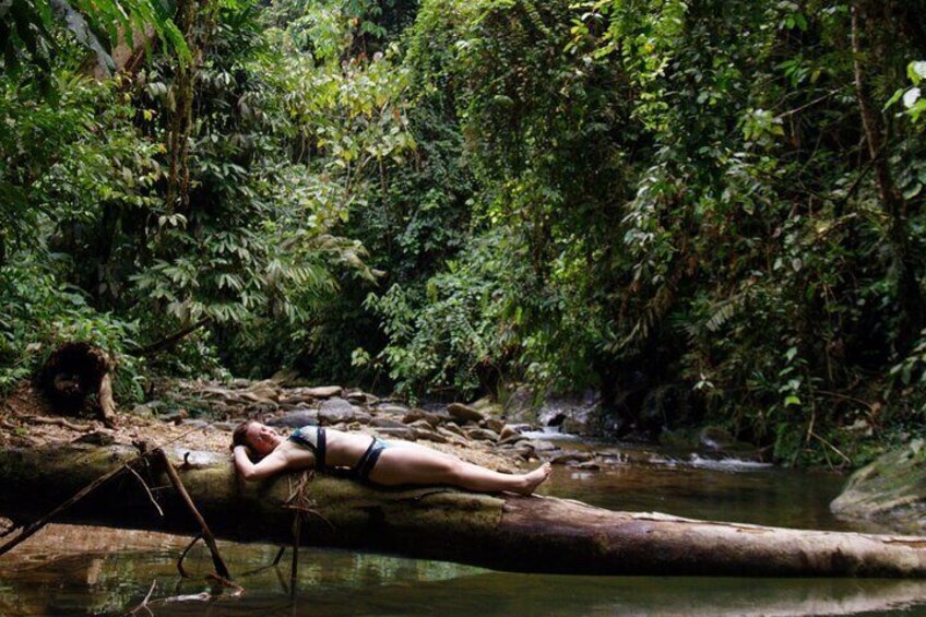 Wonderful 7 Days North Sumatra Tour (Include: 2 Days 1 Night Jungle Trekking)