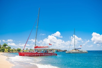 Crucero en catamarán, snorkel y experiencia en la playa en Cades Reef