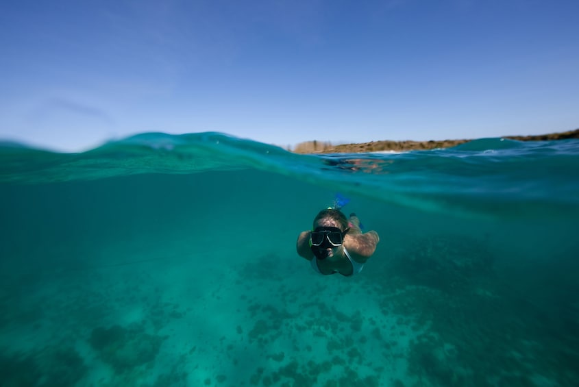 Land and Sea Antigua Adventure