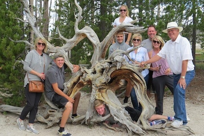 Yellowstone National Park - PRIVATE Full-Day Lower Loop Tour from W. Yellow...