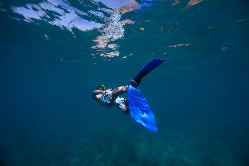 Antigua Catamaran, Snorkeling and Seafood Lunch Cruise