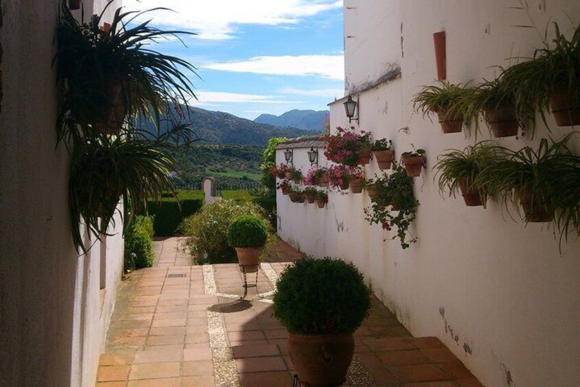 Ronda street