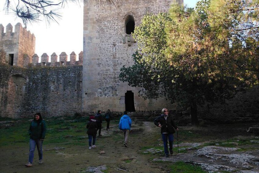 Castle of the Aguzaderas