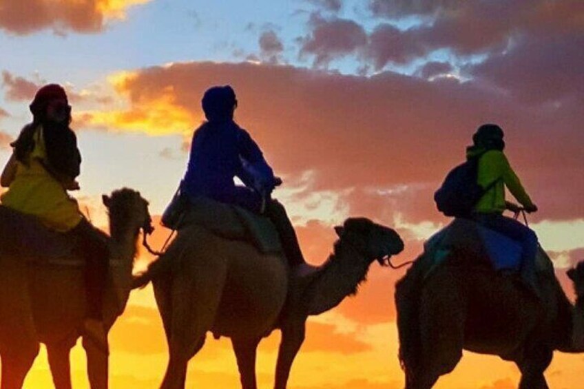 Camel ride + sunset + BBQ dinner in Agadir