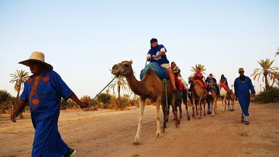 Camel ride + sunset + BBQ dinner in Agadir