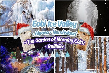 Eobi Ice Valley & Alpaca World & Nami Island (+Railbike/Garden)