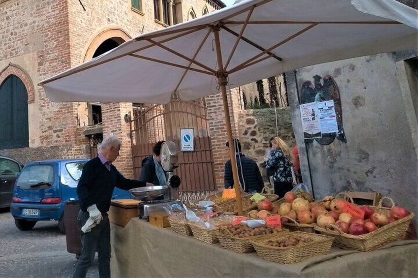  From Abano Montegrotto Tour to Arquà Petrarca medieval village