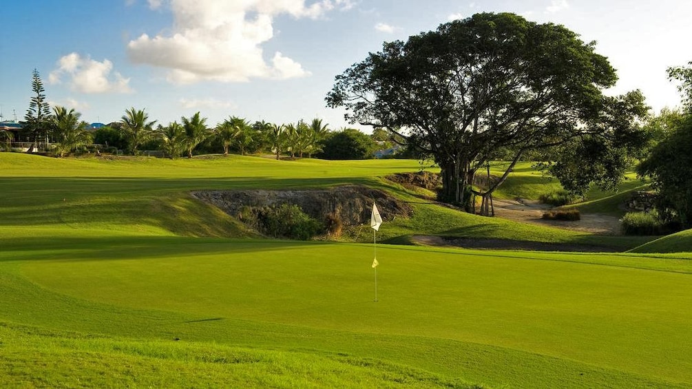 green on golf course in barbados