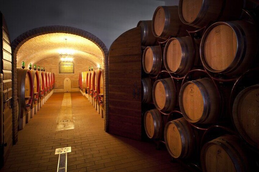 Amarone-Valpolicella wine tour - visit Verona. From Venice 