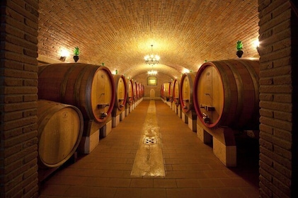 Amarone-Valpolicella wine tour - visit Verona. From Venice