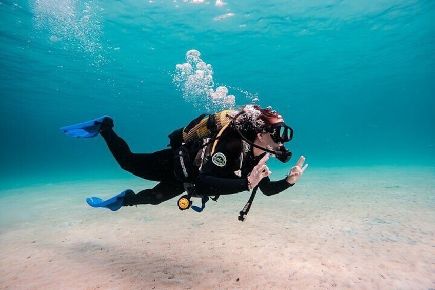 Try Scuba Diving by Boat in Mallorca