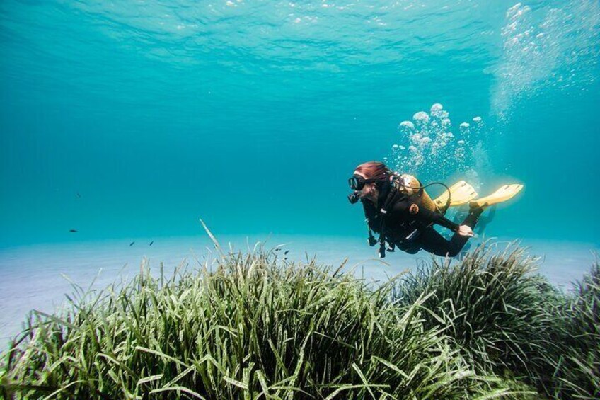 Try Scuba Diving by Boat in Mallorca