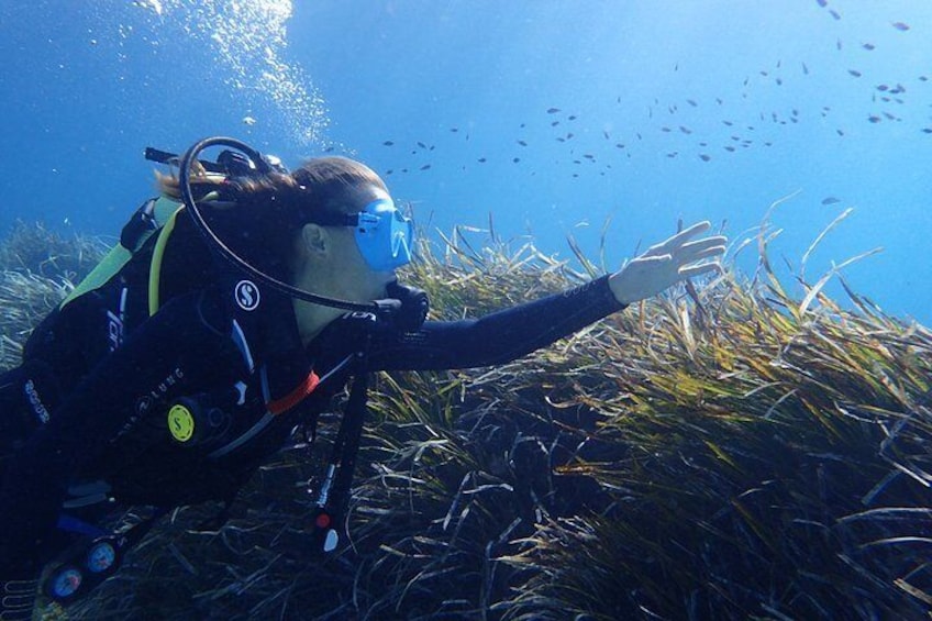 Skualo Discover Scuba Diving 4