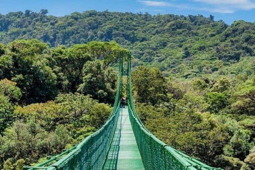 Hanging Bridges in Monteverde Selvatura Park